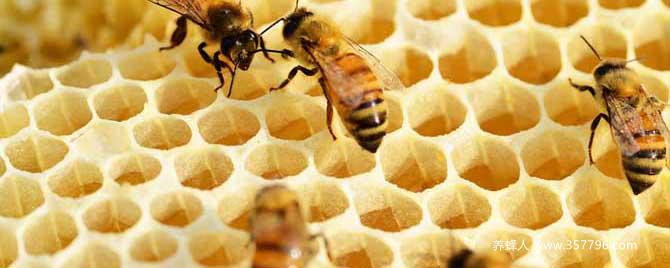 【问】春繁爬蜂病怎么治疗？