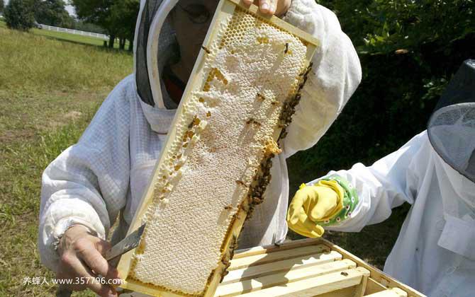 2020年养蜂有补贴吗？