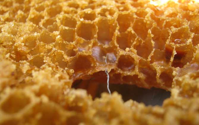 蜂巢怎么吃效果最好？