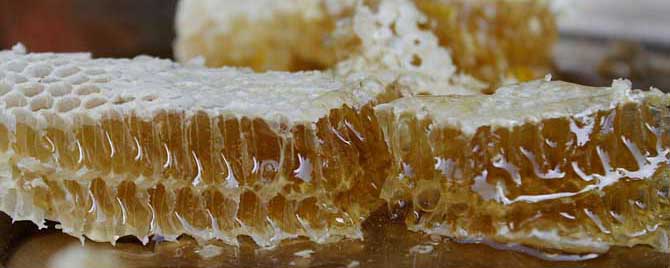 【问】蜂蜜护肤的正确方法有哪些？
