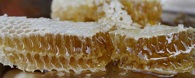 【问】怎样区分白糖蜂蜜和纯蜂蜜？